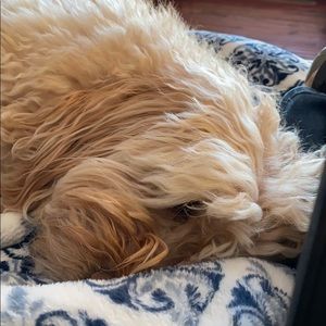 Meet your Posher, Sally